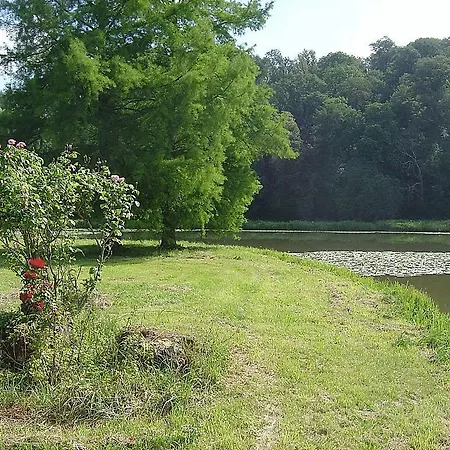 Chateau De Cheronne Oda ve Kahvaltı Tuffé