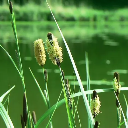 Chateau De Cheronne * Tuffé