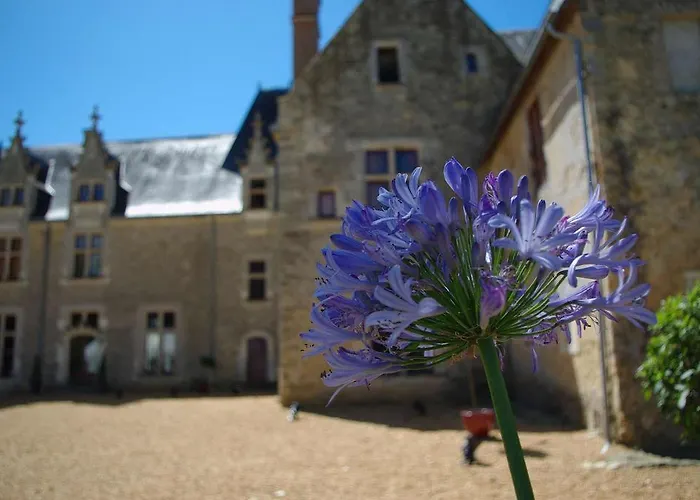 Château De Cheronne Couette-café *