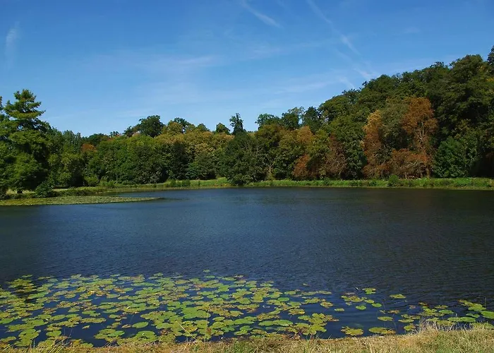 Château De Cheronne Couette-café
