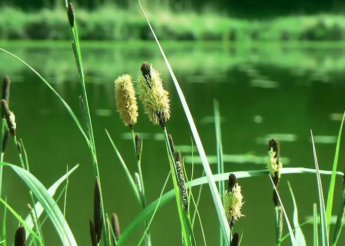 Château De Cheronne * Tuffé